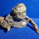 Pyritkugel in Gestein